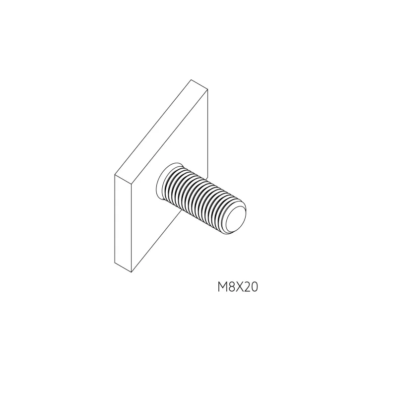 SPECIAL SCREW